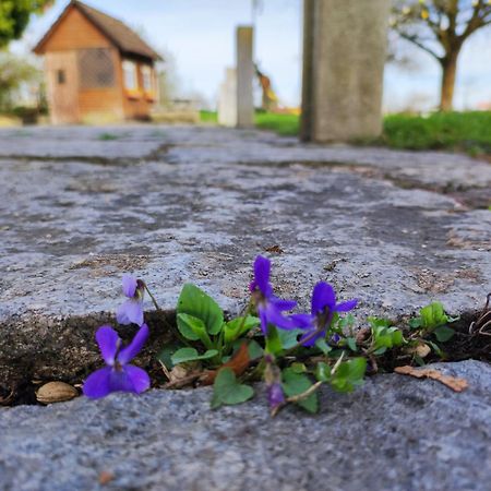 Peterseil'S Radl Zimmer Mauthausen Esterno foto